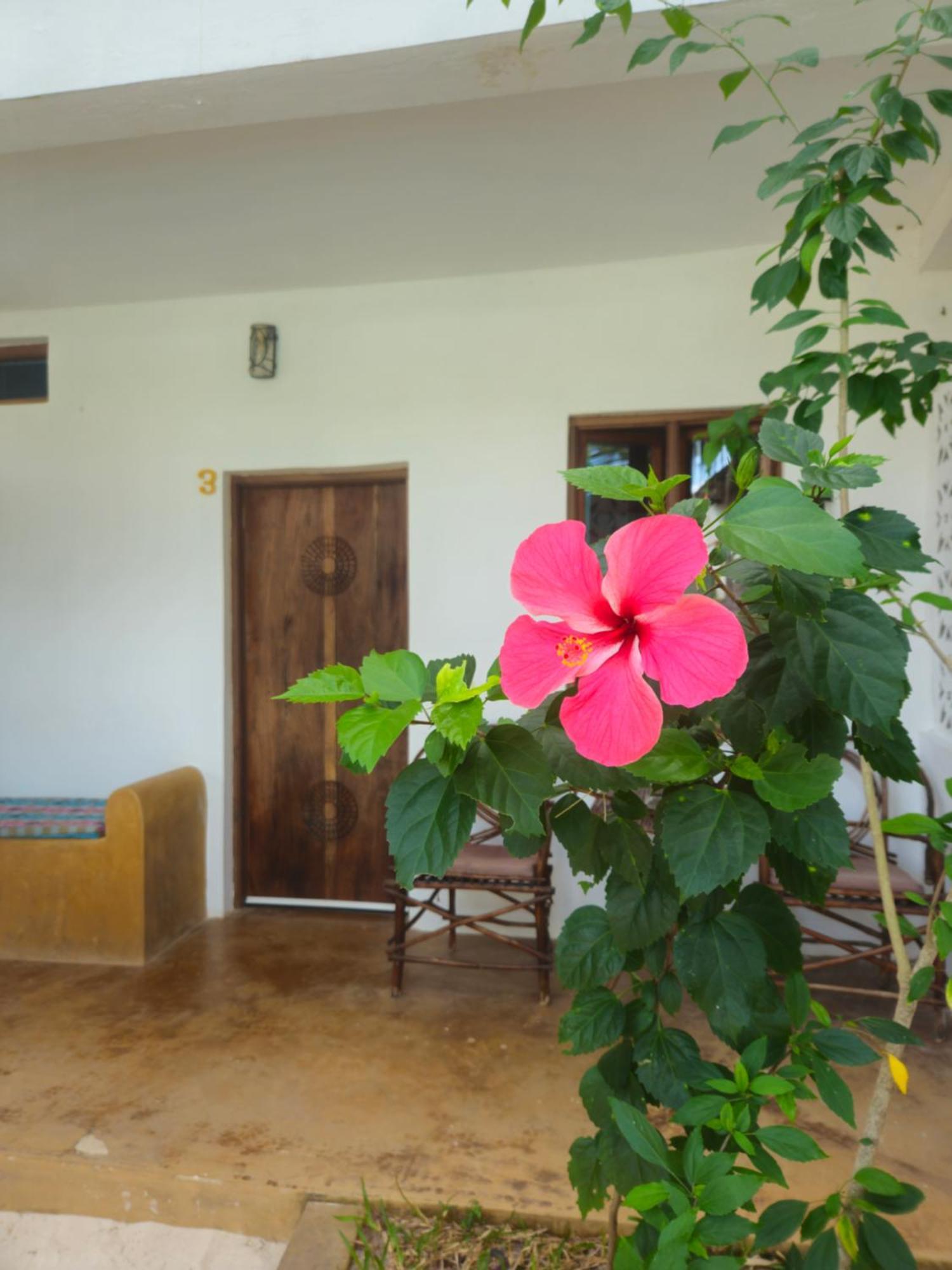 Bed and Breakfast Kiganja Матемве Экстерьер фото
